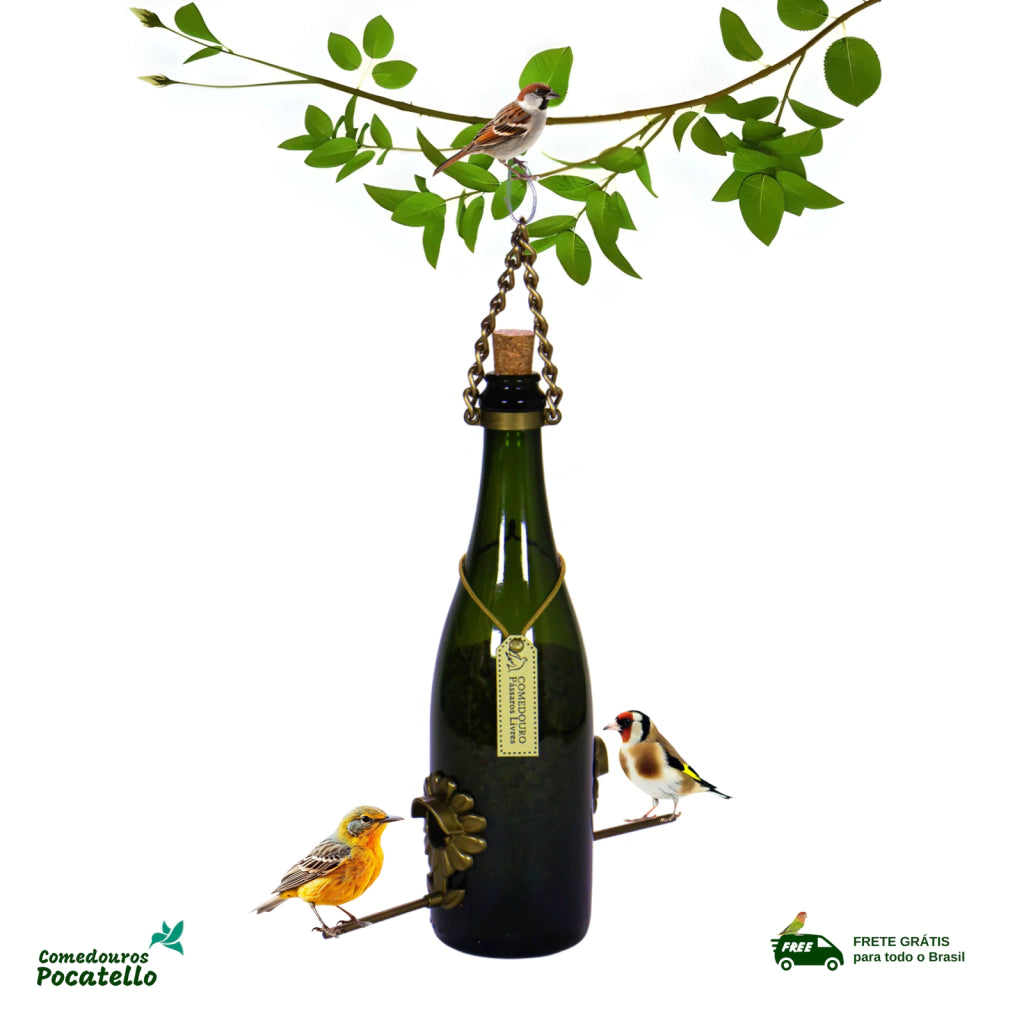 Comedouro Pássaros Livres – Garrafa Cham. Verde