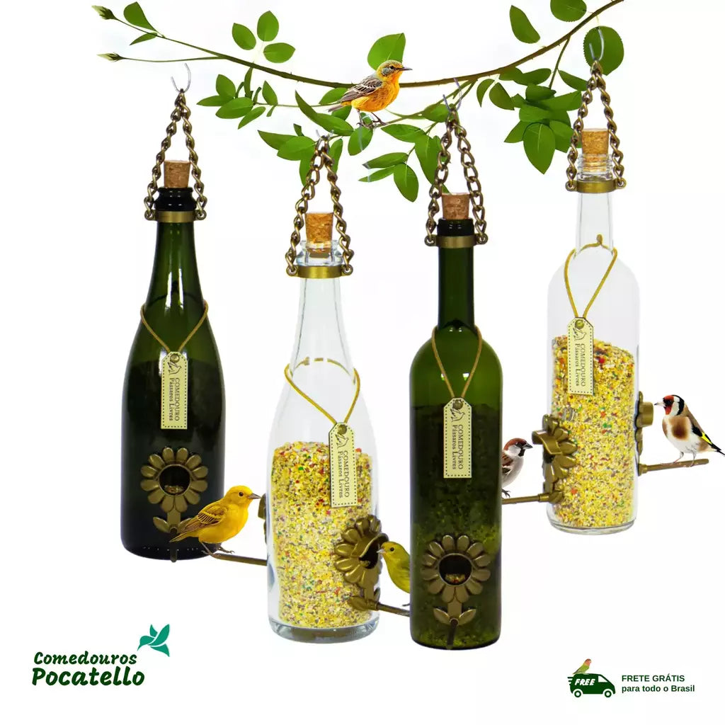 Kit 4 champanhe e vinho