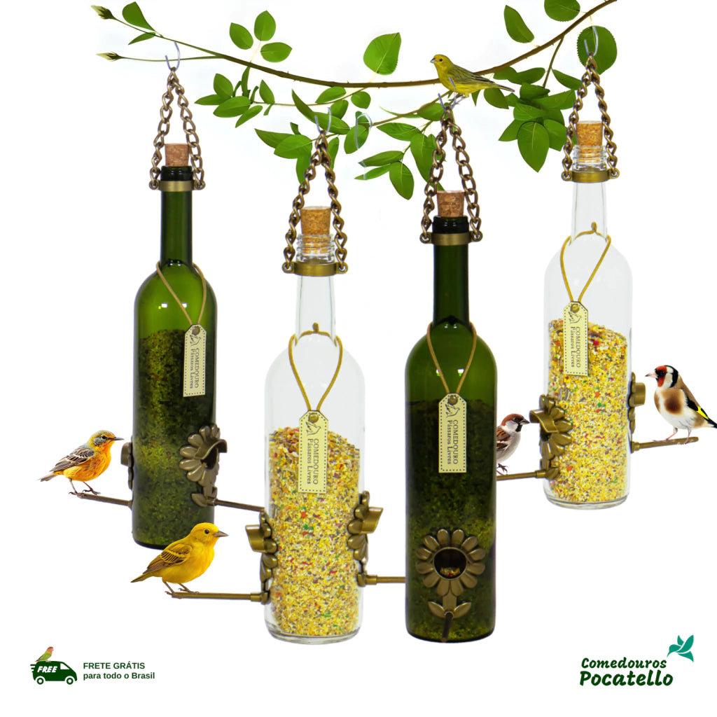 Kit 4 vinho verde e branco