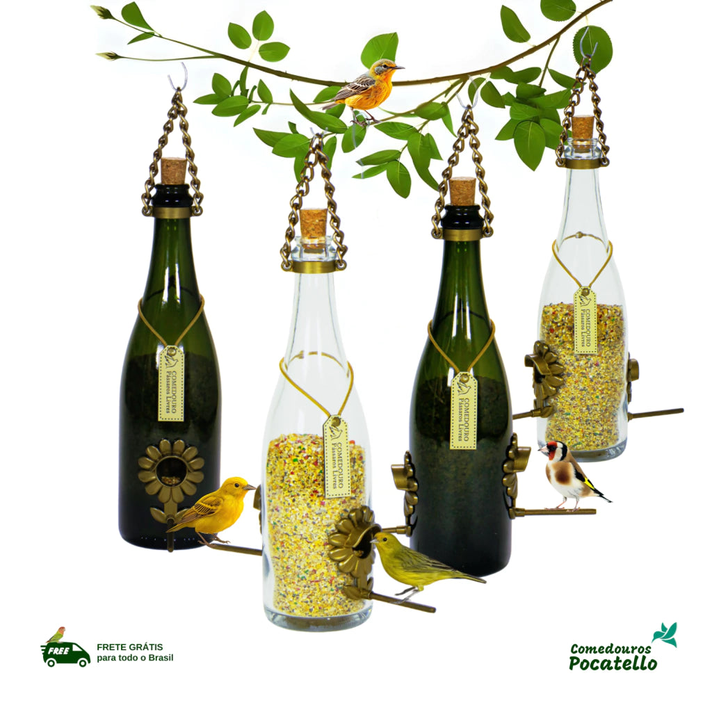 Kit 4 champanhe branca e verde