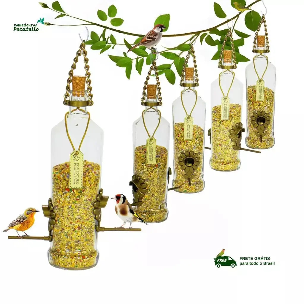 Kit 5 Comedouro Para Pássaros Livres – Garrafa De Smirnoff