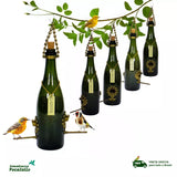 Kit 5 Comedouros Pássaros Livres – Garrafa Champagne Verde