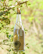 Kit 5 Comedouros Pássaros Livres – Garrafa Champagne, Vinho e Smirnoff