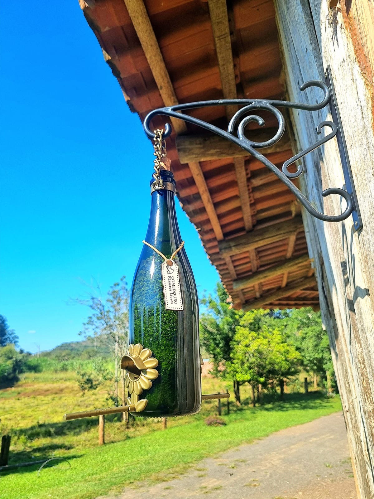 Kit 5 Comedouros Pássaros Livres – Garrafa Champagne, Vinho e Smirnoff