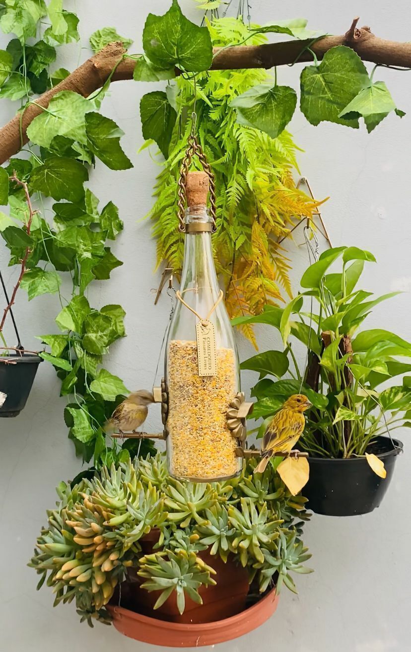 Kit 2 Comedouro Pássaros Livres – Garrafa Champagne Branca