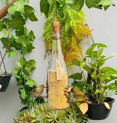 Kit 2 Comedouro Pássaros Livres – Garrafa Champagne Branca