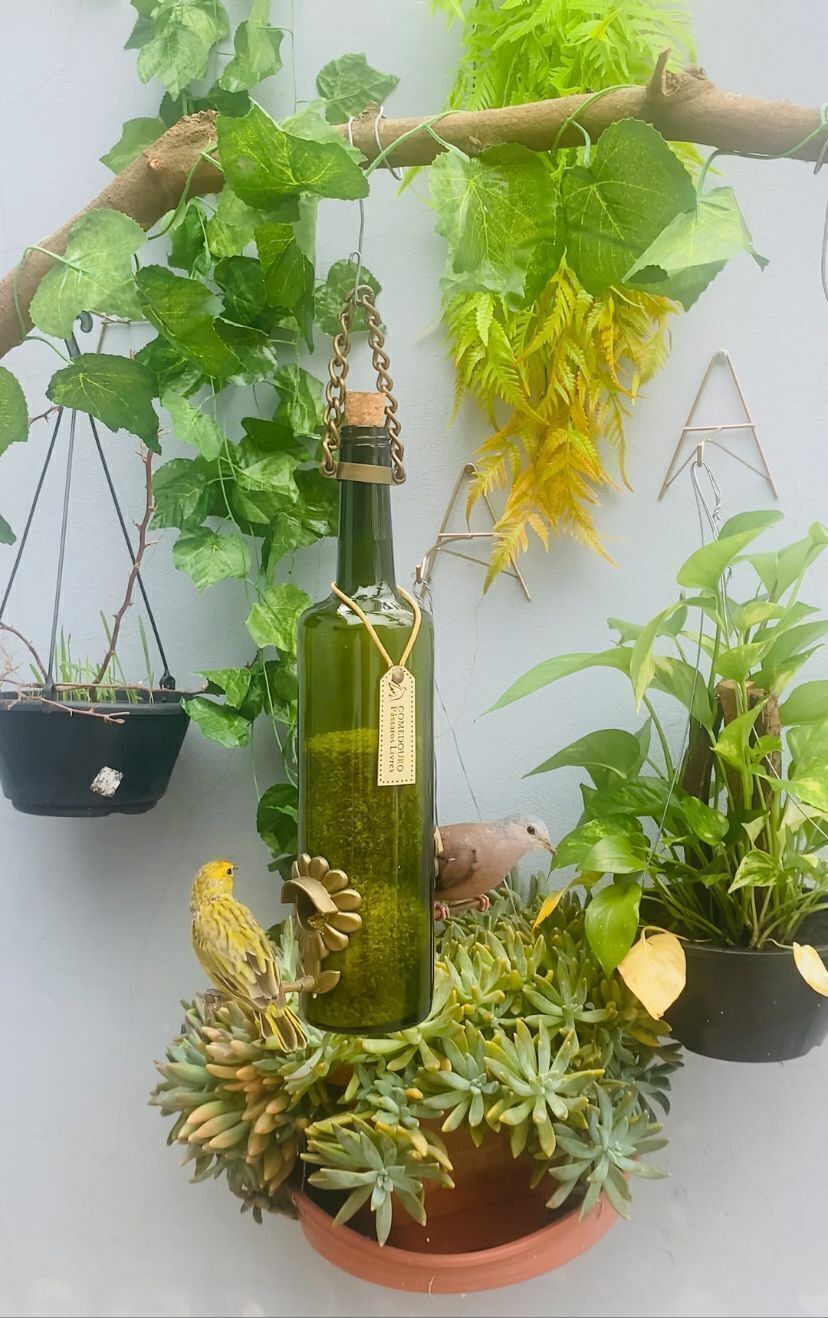 Kit 2 Comedouros Para Pássaros Livres – Garrafa Vinho Branco e Verde