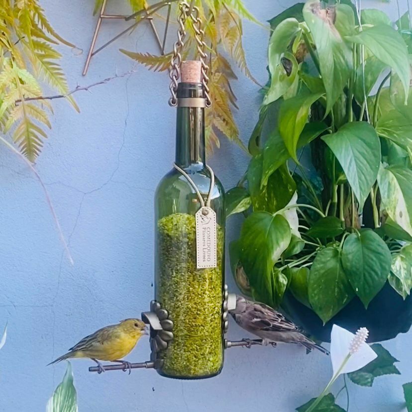 Kit 3 Comedouro Tratador Para Pássaros Livres – Vinho Verde