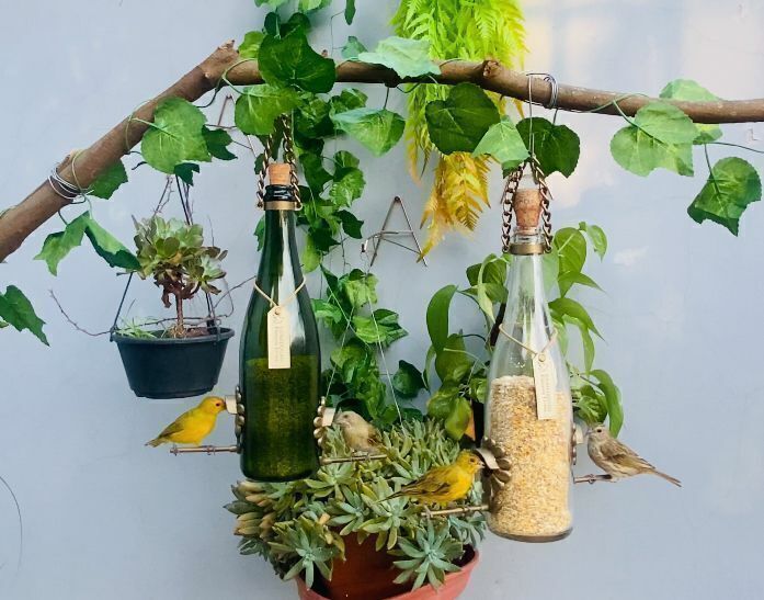 Kit 2 Comedouros Pássaros Livres – Garrafa Champagne Branco e Verde