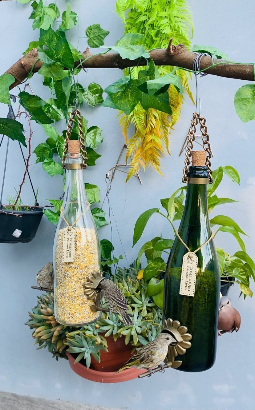 Kit 2 Comedouros Pássaros Livres – Garrafa Champagne Verde