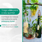 Kit 4 champanhe branca e verde