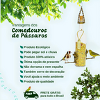 Kit 4 vinho verde e branco