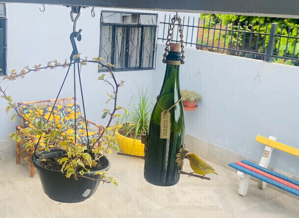 Kit 3 Comedouros Pássaros Livres – Garrafa Champagne Verde