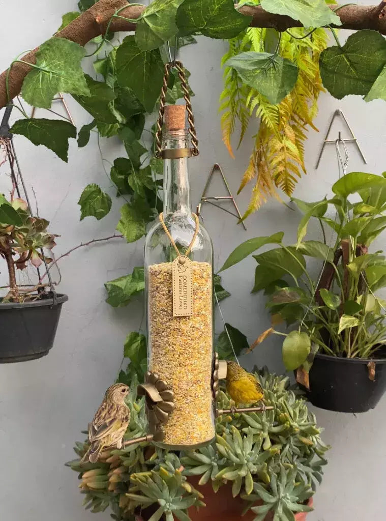 Kit 2 Comedouros Para Pássaros Livres – Garrafa Vinho Branco e Verde