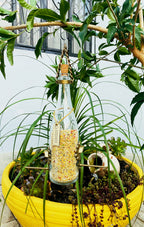 Comedouro Tratador Pássaros Livres – Garrafa Cham. Branca