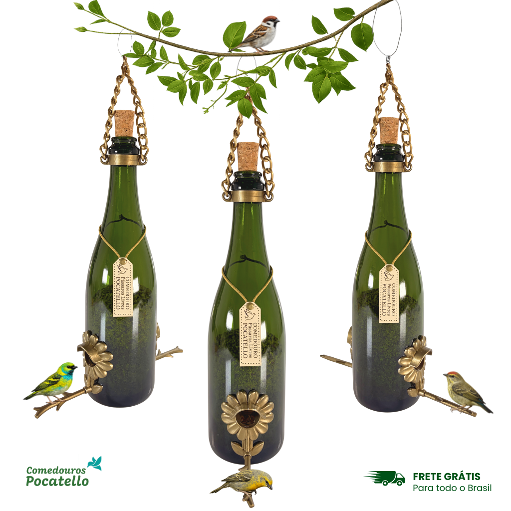 Kit 3 Comedouros Pássaros Livres – Garrafa Champagne Verde