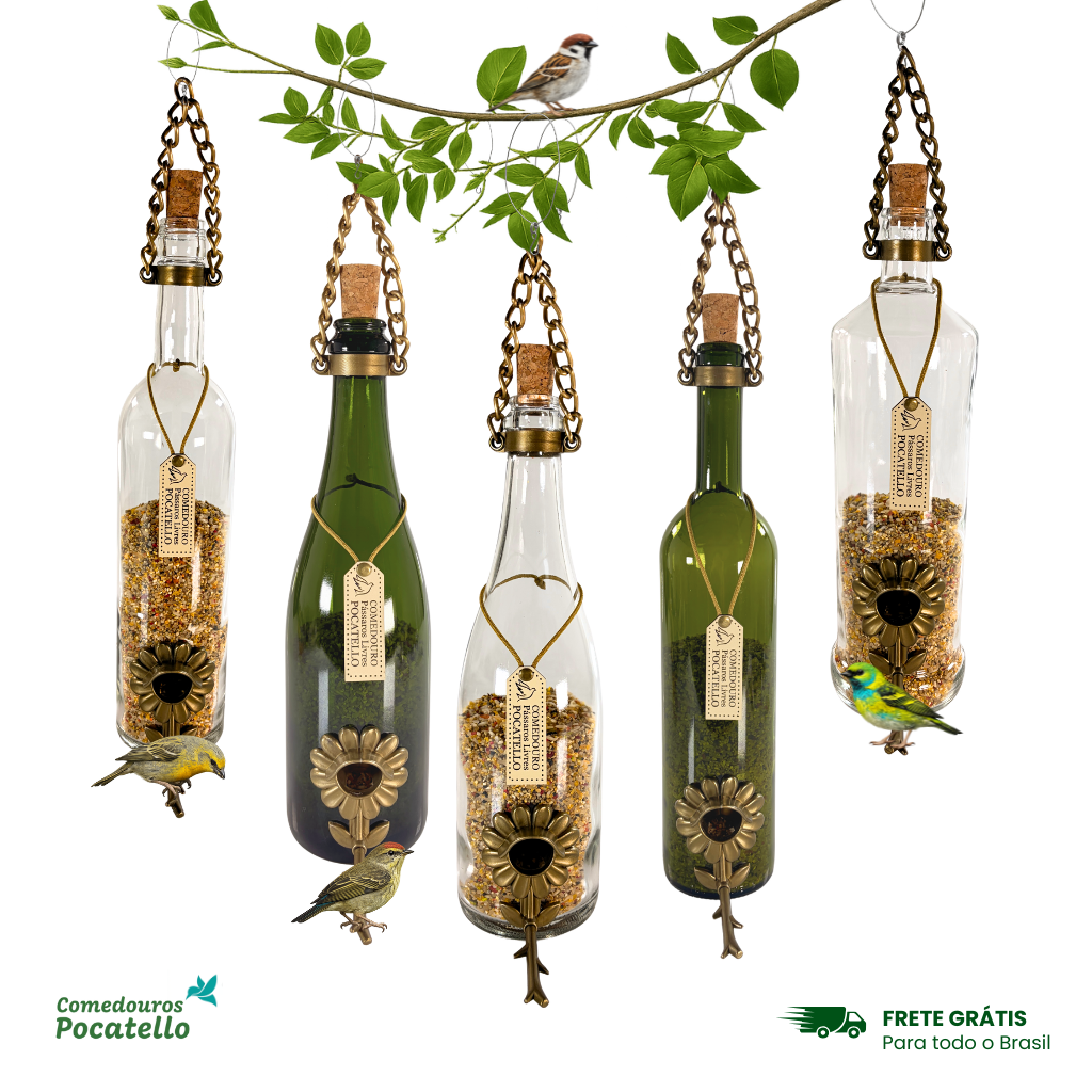 Kit 5 Comedouros Pássaros Livres – Garrafa Champagne, Vinho e Smirnoff