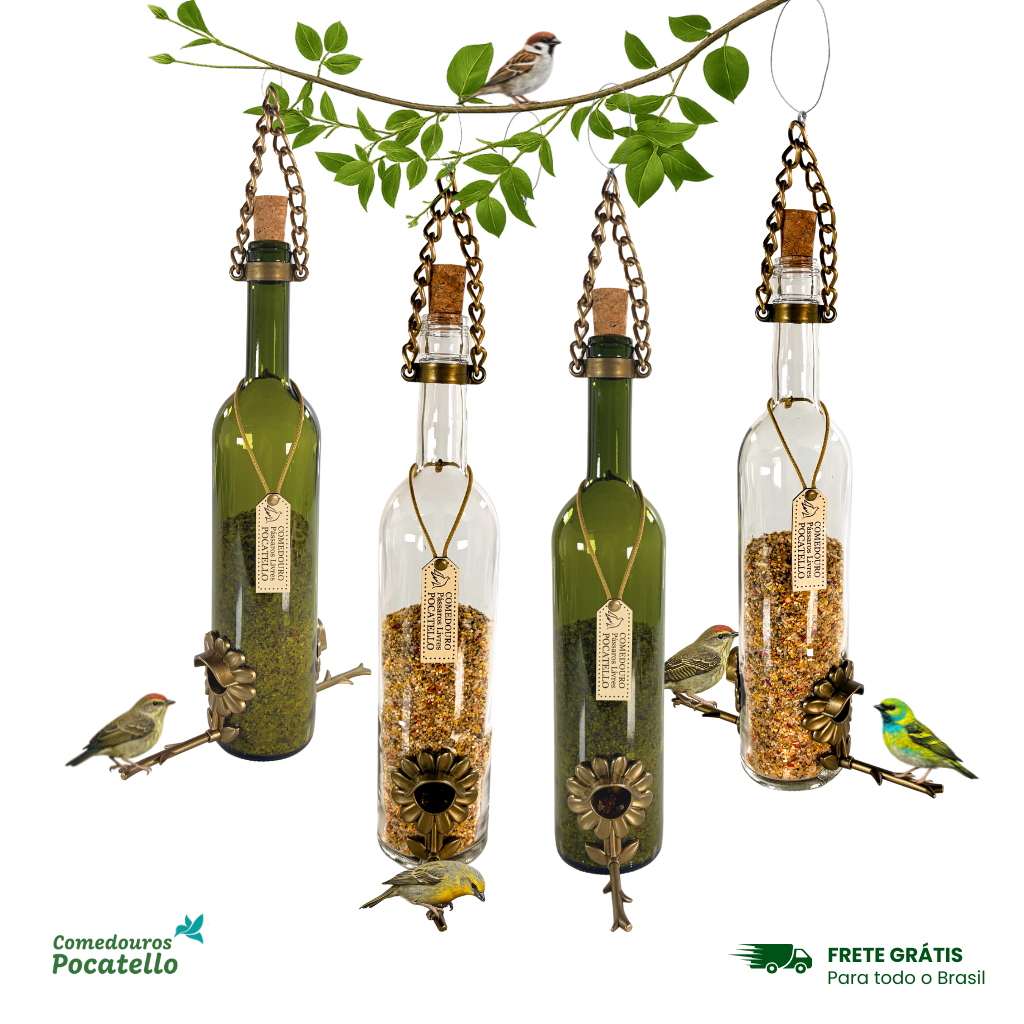 Kit 4 vinho verde e branco