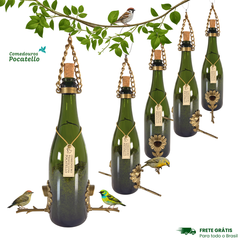 Kit 5 Comedouros Pássaros Livres – Garrafa Champagne Verde