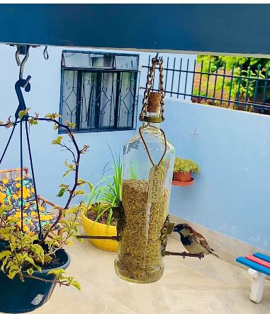 Comedouro Tratador Pássaros Livres – Garrafa De Smirnoff