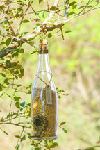 Kit 2 Comedouros Pássaros Livres – Garrafa Champagne Branco e Verde