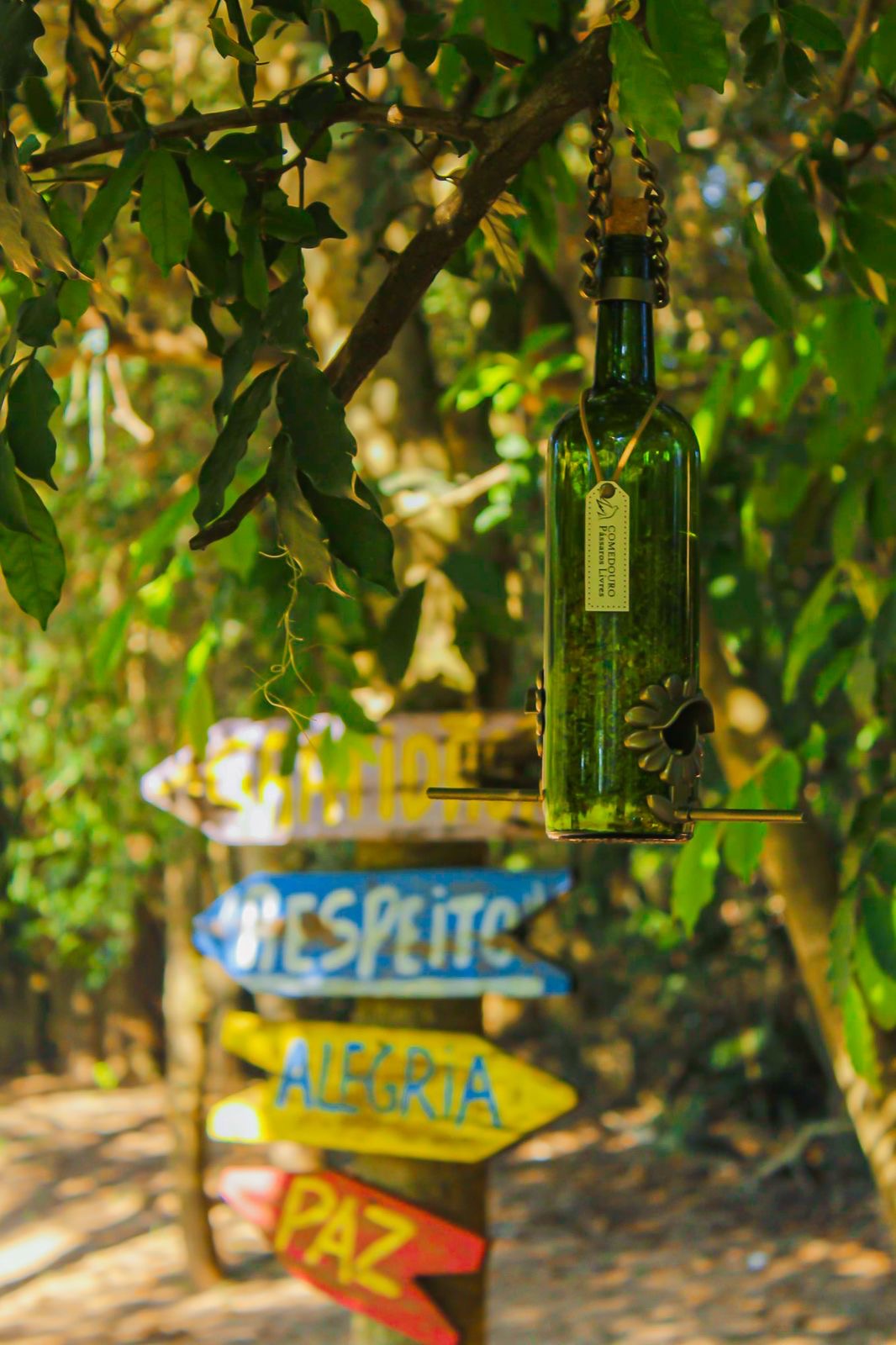 Comedouro Tratador Pássaros Livres – Garrafa Vinho Verde