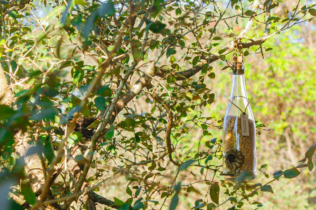 Kit 2 Comedouro Pássaros Livres – Garrafa Champagne Branca