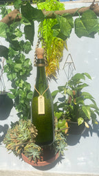 Comedouro Pássaros Livres – Garrafa Cham. Verde