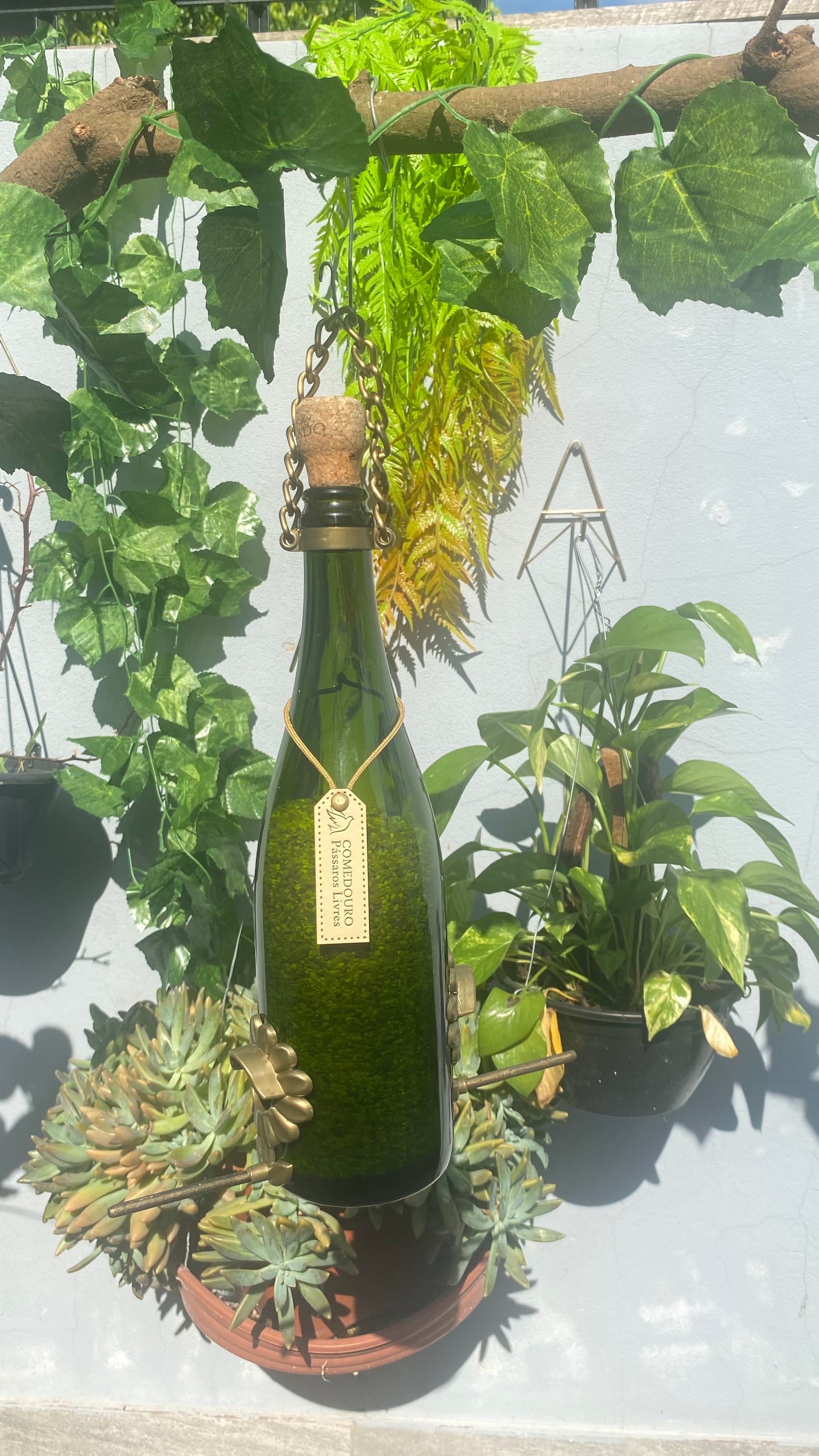 Kit 3 Comedouros Pássaros Livres – Garrafa Champagne Verde