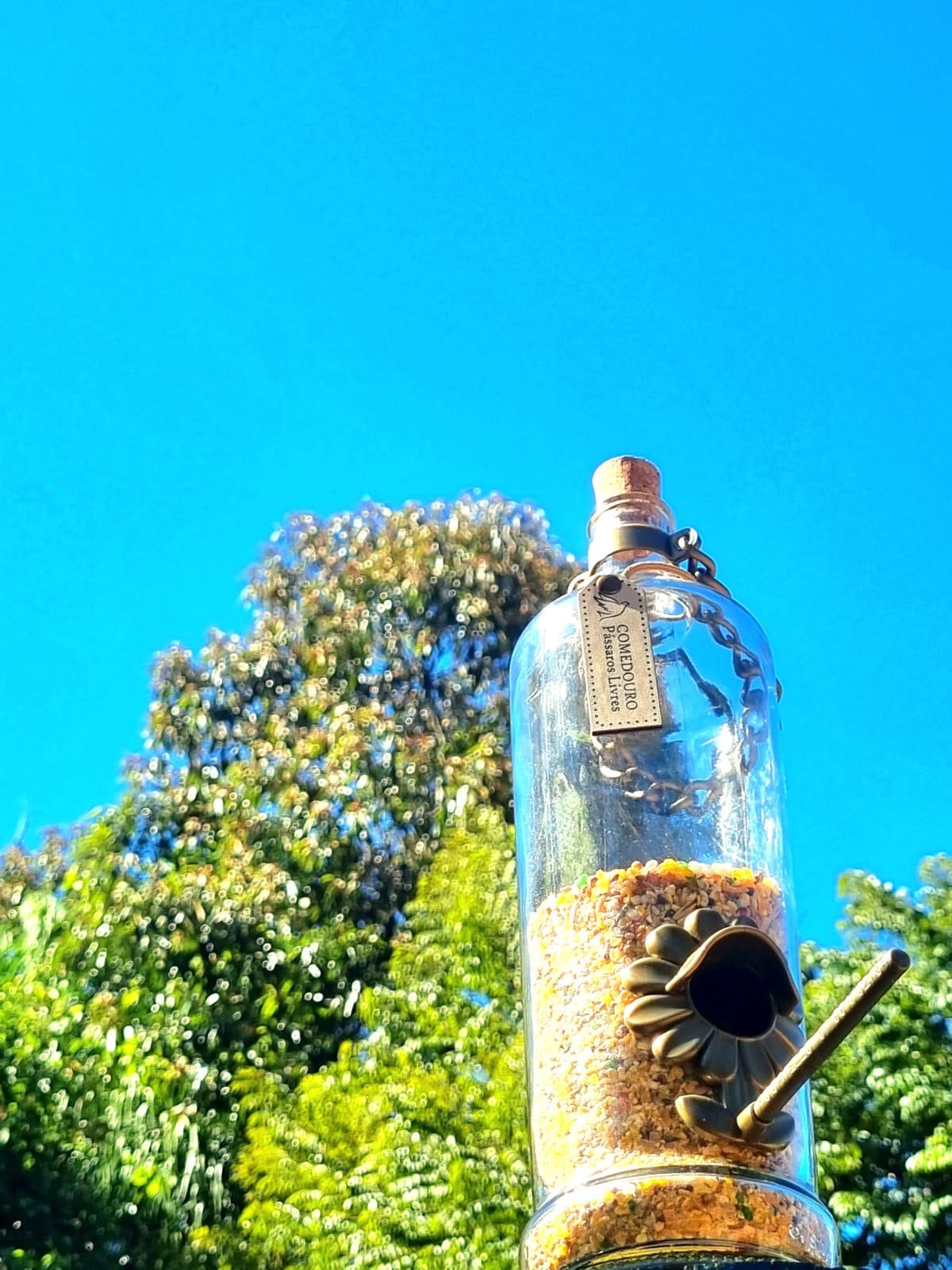 Comedouro Tratador Pássaros Livres – Garrafa De Smirnoff