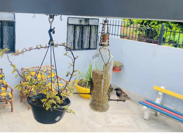 Kit 2 Comedouros Pássaros Livres – Garrafa Smirnoff