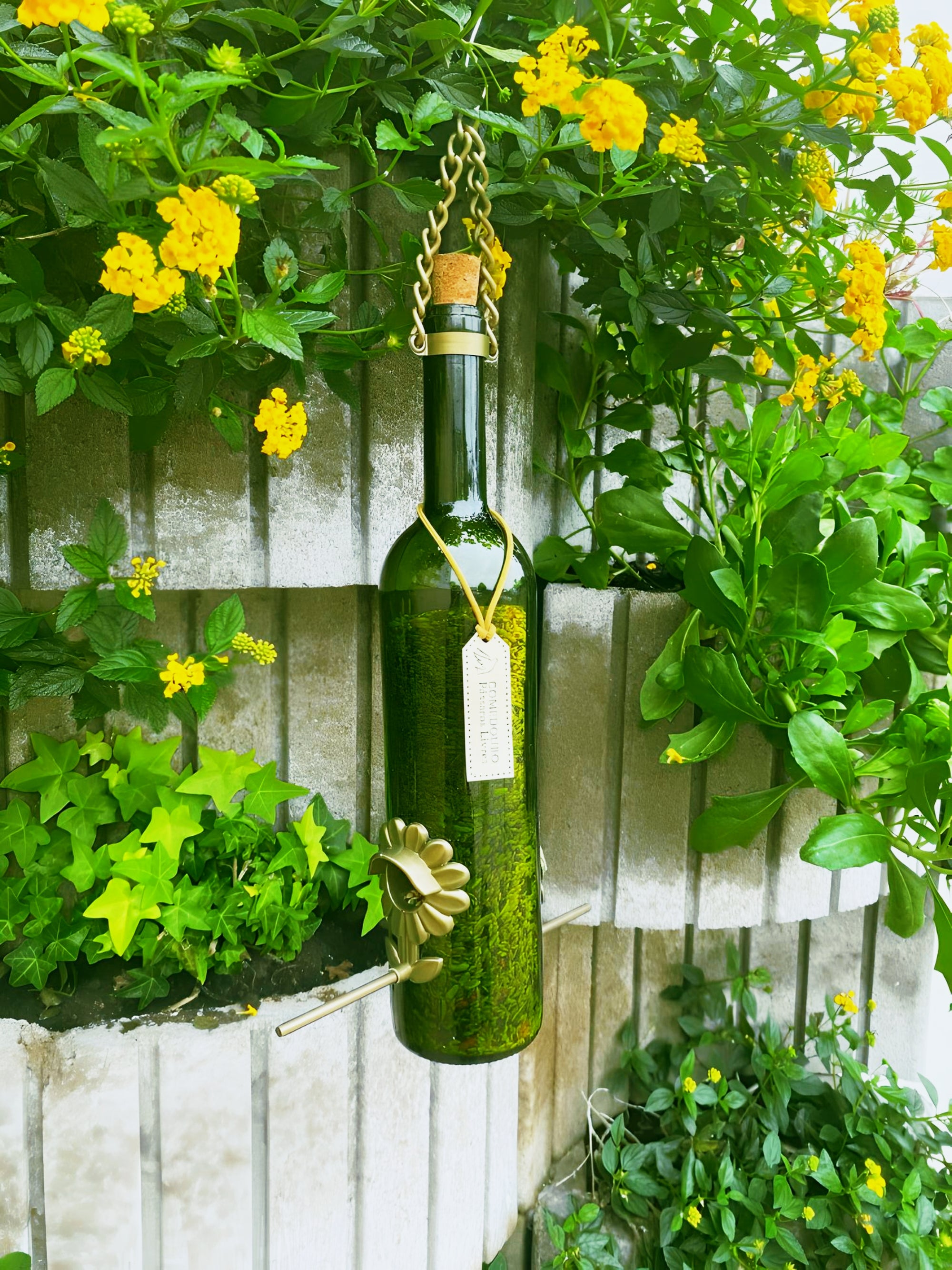 Kit 2 Comedouros Para Pássaros Livres – Garrafa Vinho Verde