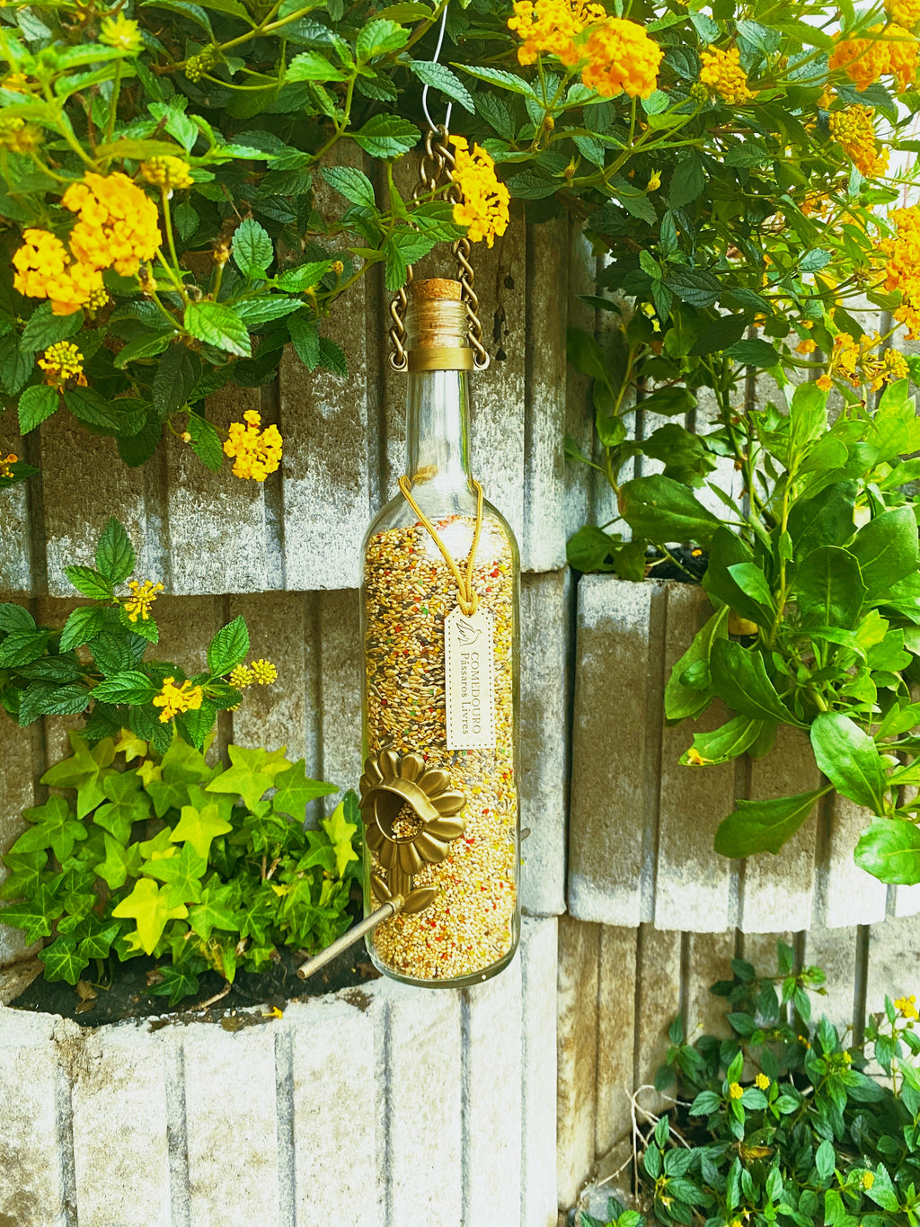 Comedouro Tratador Para Pássaros Livres – Vinho Branco