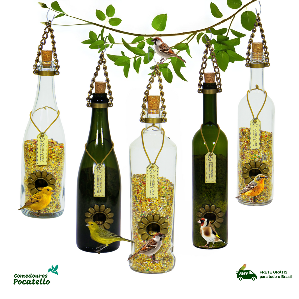 Kit 5 Comedouros Pássaros Livres – Garrafa Champagne, Vinho e Smirnoff