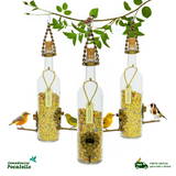 Kit 3 Comedouro Tratador Para Pássaros Livres – Vinho Transparente