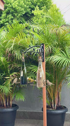 Kit 4 champanhe branca e verde