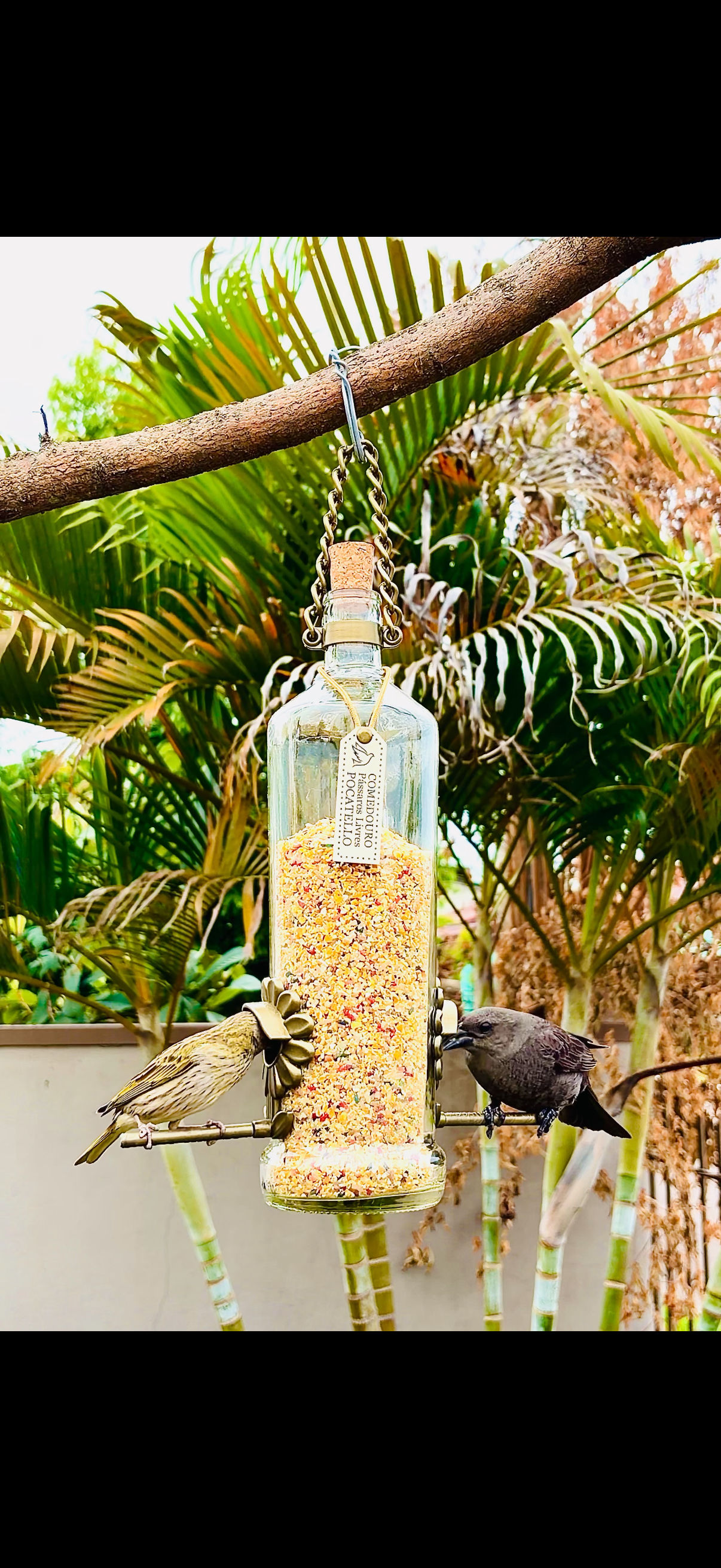 Kit Com 3 Comedouros Pássaros Livres – Garrafa Smirnoff