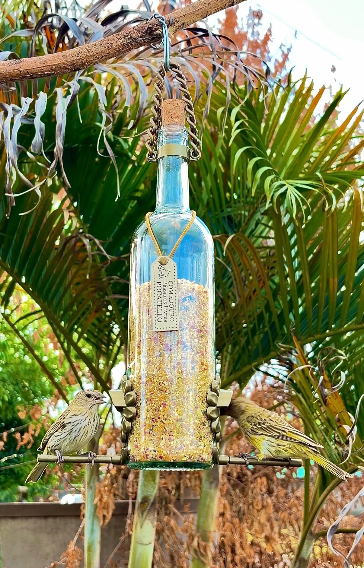 Kit 5 Comedouros Pássaros Livres – Garrafa Vinho Branco