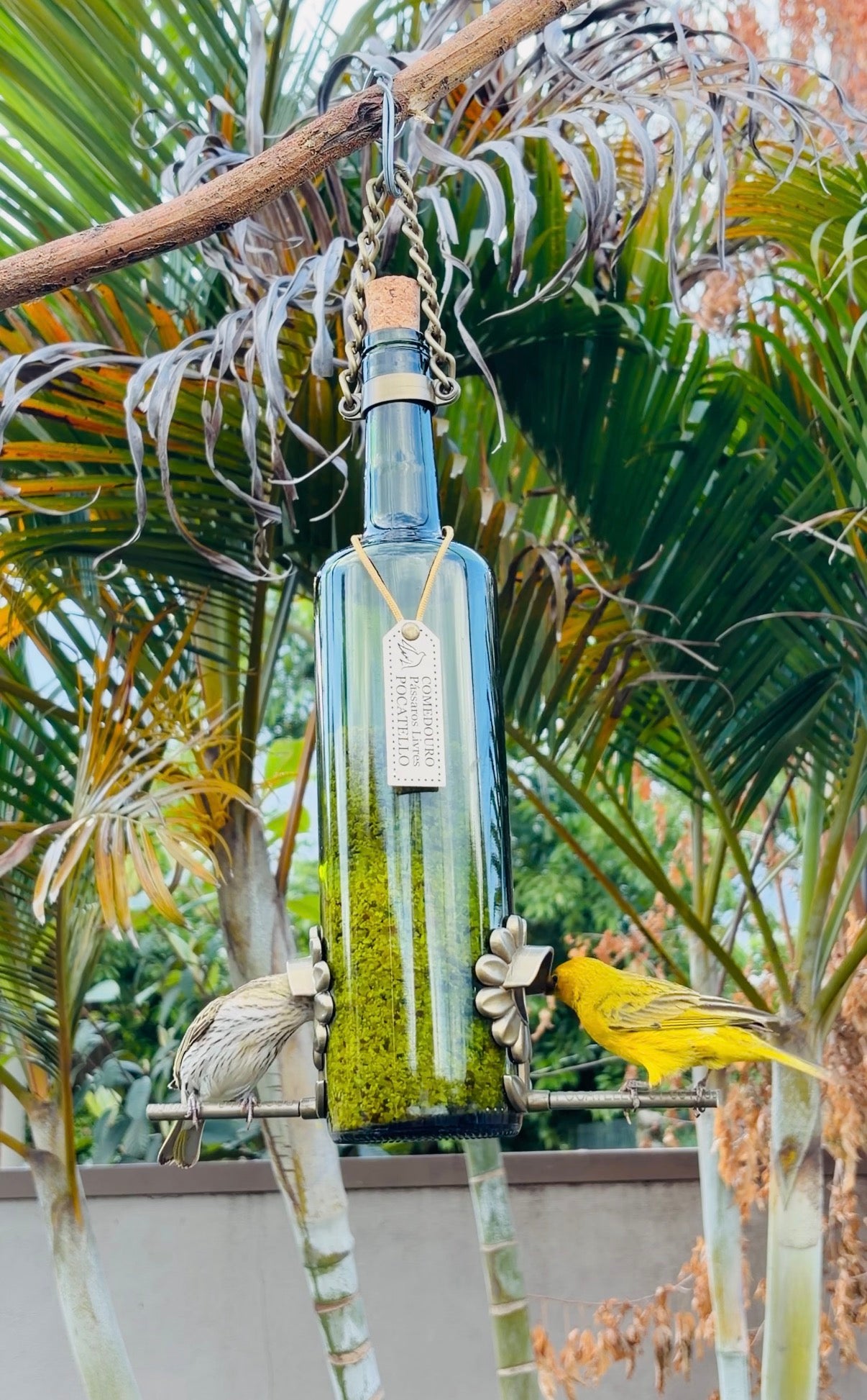 Comedouro Tratador Pássaros Livres – Garrafa Vinho Verde